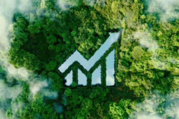 埃里克-特朗普计划9月份访问日本推动加密货币发展